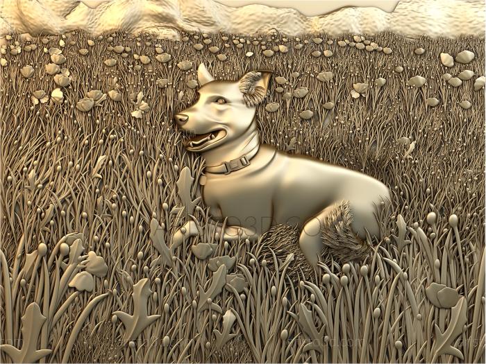 Free examples of 3d stl models (Dog in the field. Download free 3d model for cnc - USPH_0259) 3D